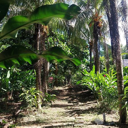 Jardin De Las Musas Пуерто Малдонадо Екстериор снимка