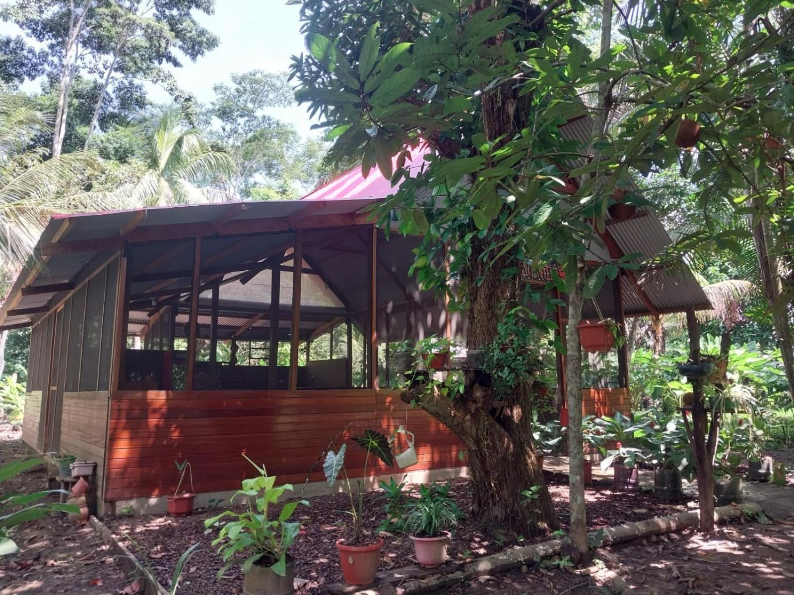Jardin De Las Musas Пуерто Малдонадо Екстериор снимка
