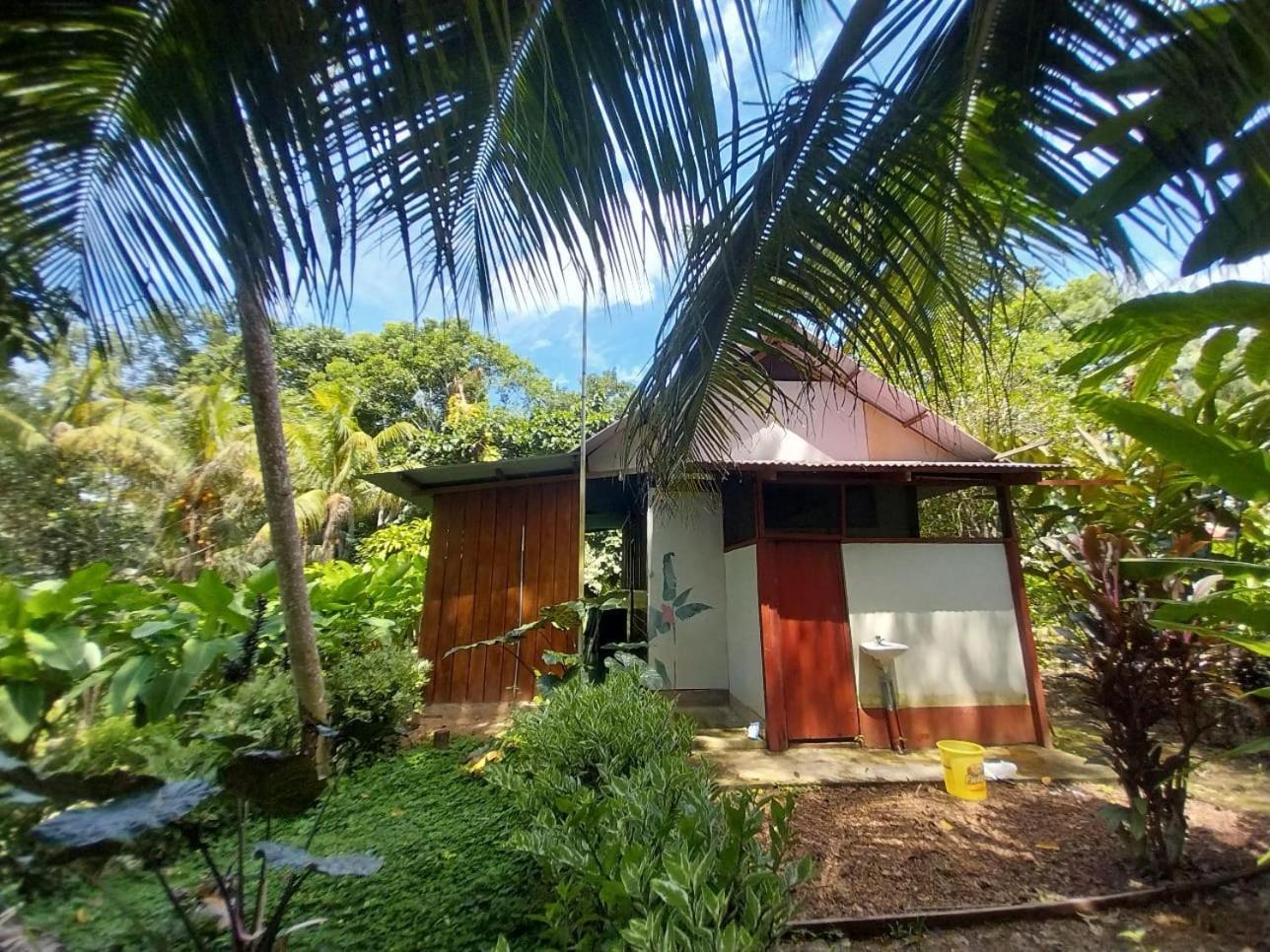 Jardin De Las Musas Пуерто Малдонадо Стая снимка
