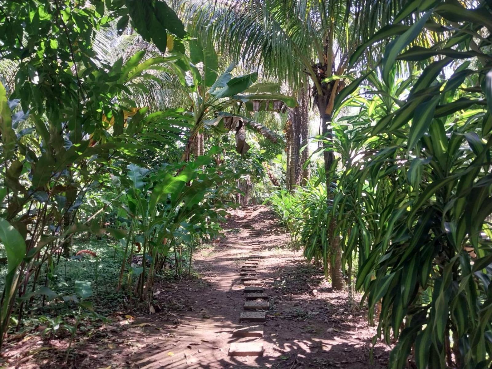 Jardin De Las Musas Пуерто Малдонадо Екстериор снимка